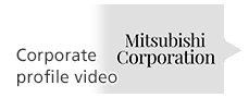 Corporate profile video